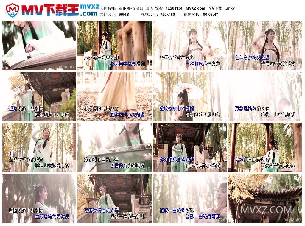 祝丽娜-等君归_国语_流行_YE201134